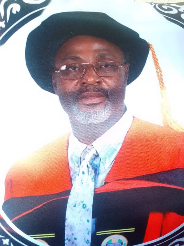 Dr. Okwudili Celestine Ezeabasili Ph.D (Lagos); M.Sc; MBA; BA (Hons)
